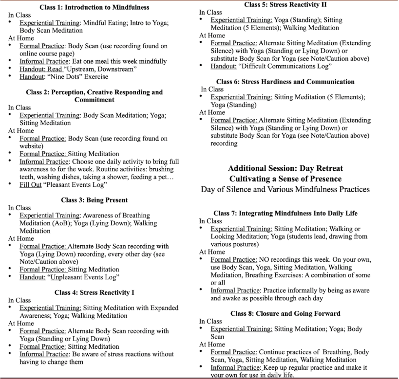 Screenshot 2025-05-22 085753 Mindfulness class curriculum with various exercises outlined.