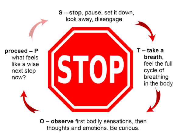 Screenshot 2025-05-29 001019 Red stop sign with mindfulness steps diagram.