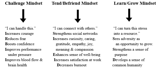 Screenshot 2025-05-29 002350 Challenge, Tend/Befriend, Learn/Grow mindset benefits.